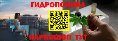 a pvp Нальчик