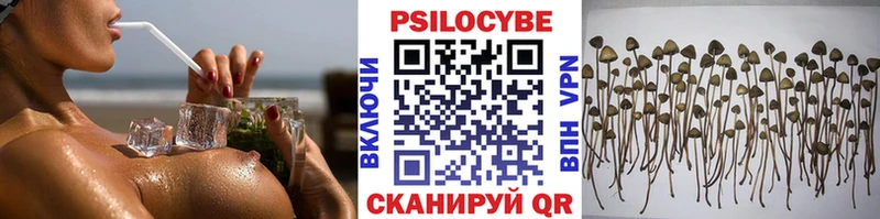 гидра сайт  Сорочинск  Галлюциногенные грибы мухоморы 