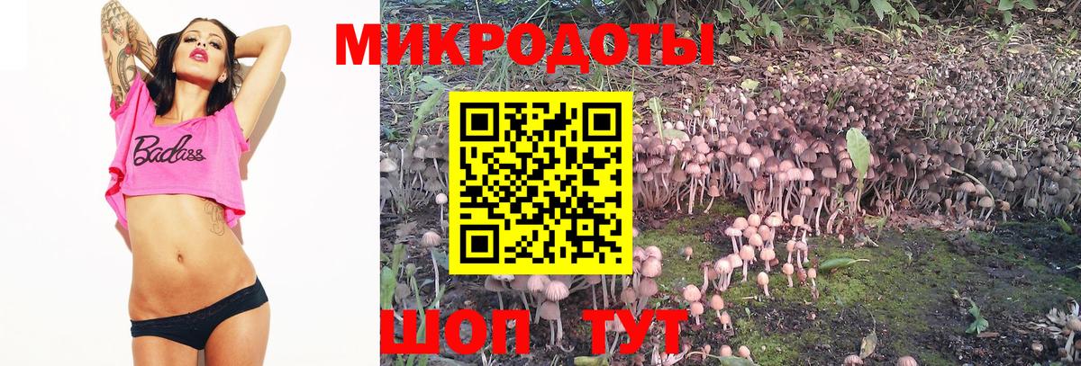 Псилоцибиновые грибы мицелий  Вход с VPN  как найти закладки  Сорочинск  Галлюциногенные грибы Psilocybe 