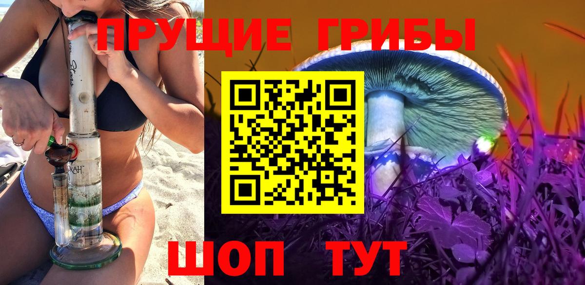 Галлюциногенные грибы Psilocybe Сорочинск